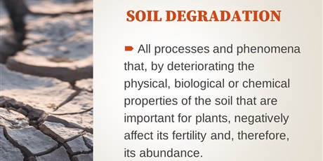Powiększ grafikę: soil-degradation-presentation-478496.jpg