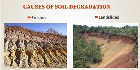 Powiększ grafikę: soil-degradation-presentation-478497.jpg