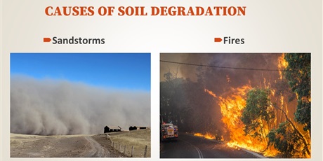 Powiększ grafikę: soil-degradation-presentation-478498.jpg
