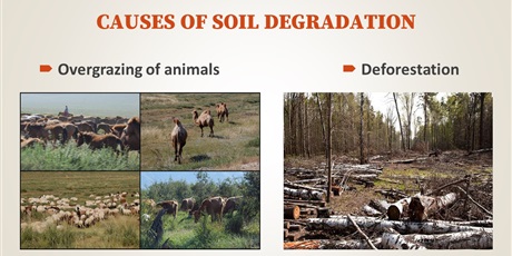 Powiększ grafikę: soil-degradation-presentation-478500.jpg