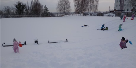 Powiększ grafikę: 0a-korzysta-z-zimowej-aury-669656.jpg