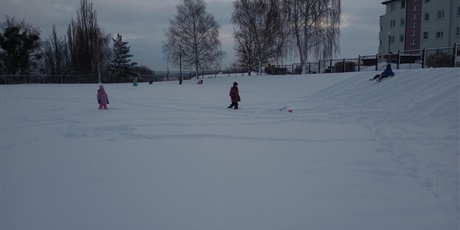 Powiększ grafikę: 0a-korzysta-z-zimowej-aury-669658.jpg