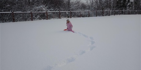 Powiększ grafikę: 0a-korzysta-z-zimowej-aury-669661.jpg