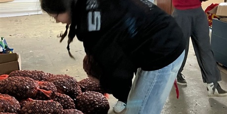 Powiększ grafikę: akcja-zbieraj-kasztana-dla-bohatera-jana-651937.jpg