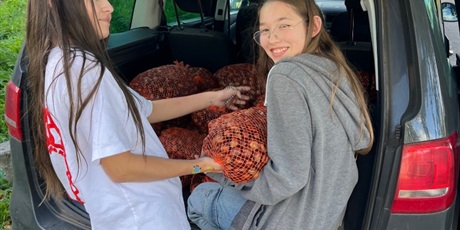 Powiększ grafikę: akcja-zbieraj-kasztana-dla-bohatera-jana-651938.jpg