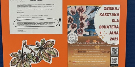 Powiększ grafikę: akcja-zbieraj-kasztana-dla-bohatera-jana-651940.jpg