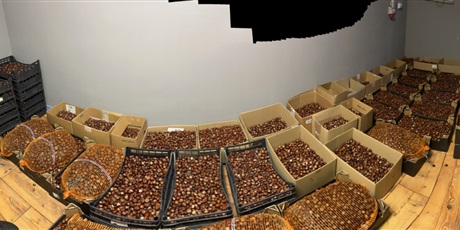 Powiększ grafikę: akcja-zbieraj-kasztana-dla-bohatera-jana-651942.jpg