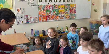 Powiększ grafikę: dzien-dinozaurow-w-zerowce-690741.jpg