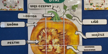 Dzień Dyni w świetlicy klas trzecich