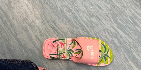 Powiększ grafikę: Klapek Kubota - różowy z palmami i flamingami.