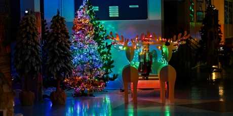 Powiększ grafikę: festyn-mikolajkowy-2025-662885.jpg