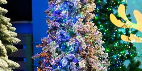 Powiększ grafikę: festyn-mikolajkowy-2025-662895.jpg