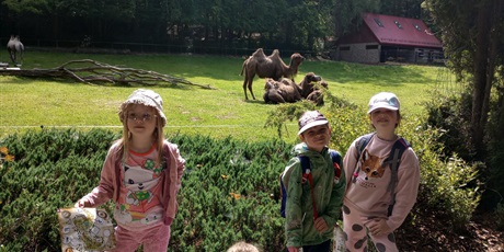 Grupa 0A na wycieczce w ZOO