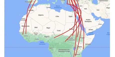 Powiększ grafikę: Szlaki migracji bocianów białych między Europą a Afryką.