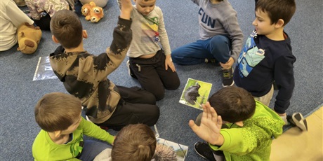 Powiększ grafikę: Dzieci siedzą na dywanie. Na pierwszym planie znajduje się siedmiu chłopców z uniesionymi rękoma do góry. Między nimi na podłodze leżą ułożone puzzle przedstawiające australijskie zwierzęta.