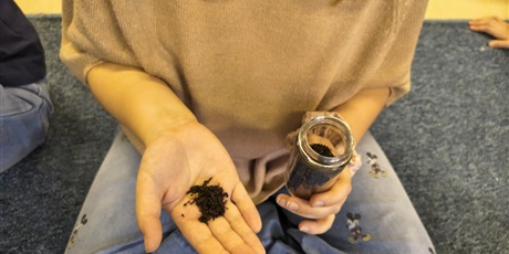 Powiększ grafikę: Dziewczynka pokazuje na ręku wysypane przyprawy pochodzące z Azji.