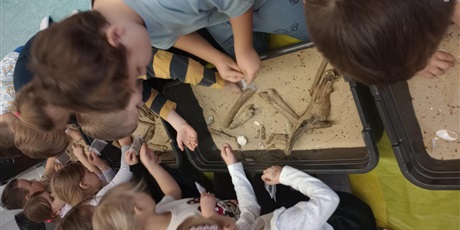 Powiększ grafikę: Grupa dzieci poszukuje bursztynu między piaskiem i konarami drzew. Odtwarzają przeszukiwanie plaży w celu znalezienia drobinek bursztynu.