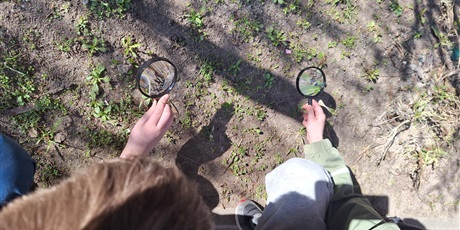 Powiększ grafikę: Dzieci z lupami poszukują oznak wiosny.