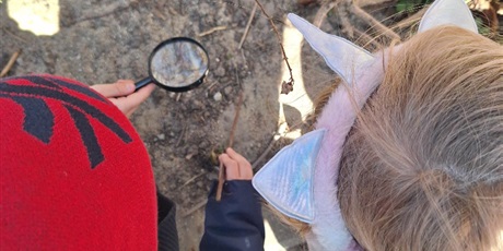 Powiększ grafikę: male-lupy-wielkie-odkrycia-zerowka-na-tropie-wiosny-682653.jpg