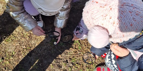 Powiększ grafikę: male-lupy-wielkie-odkrycia-zerowka-na-tropie-wiosny-682654.jpg