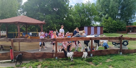 Powiększ grafikę: polkolonie-letnie-w-naszej-szkole-634340.jpg