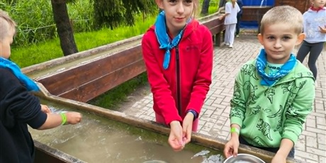 Powiększ grafikę: polkolonie-letnie-w-naszej-szkole-708703.jpg