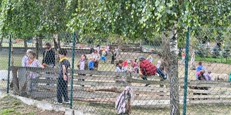 Powiększ grafikę: polkolonie-letnie-w-naszej-szkole-708768.jpg
