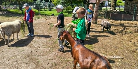 Powiększ grafikę: polkolonie-letnie-w-naszej-szkole-708773.jpg