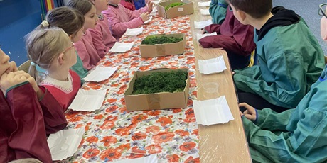 Powiększ grafikę: polkolonie-zimowe-w-naszej-szkole-672341.jpg