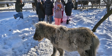 Powiększ grafikę: polkolonie-zimowe-w-naszej-szkole-672412.jpg