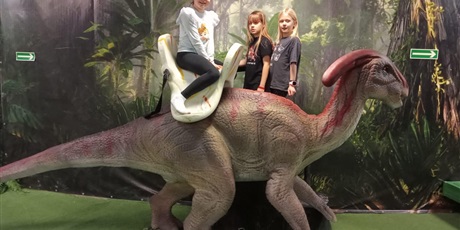 Powiększ grafikę: polkolonie-zimowe-w-naszej-szkole-672424.jpg