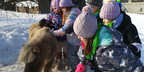 Powiększ grafikę: polkolonie-zimowe-w-naszej-szkole-672464.jpg