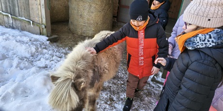 Powiększ grafikę: polkolonie-zimowe-w-naszej-szkole-672480.jpg