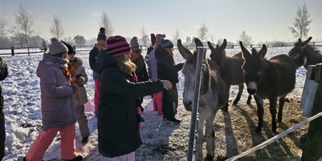 Powiększ grafikę: polkolonie-zimowe-w-naszej-szkole-672497.jpg