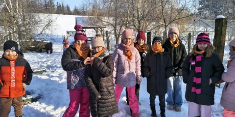 Powiększ grafikę: polkolonie-zimowe-w-naszej-szkole-672502.jpg