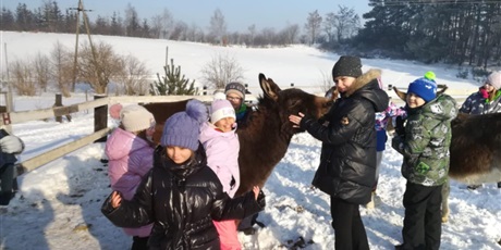 Powiększ grafikę: polkolonie-zimowe-w-naszej-szkole-672509.jpg