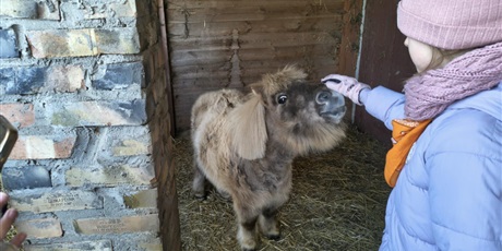 Powiększ grafikę: polkolonie-zimowe-w-naszej-szkole-672526.jpg