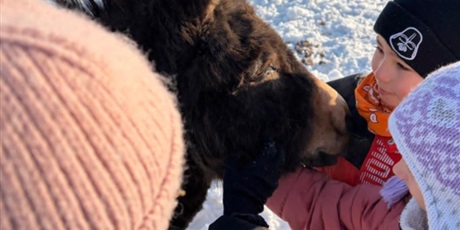 Powiększ grafikę: polkolonie-zimowe-w-naszej-szkole-672530.jpg