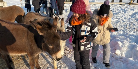 Powiększ grafikę: polkolonie-zimowe-w-naszej-szkole-672531.jpg