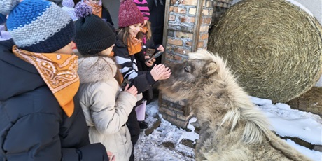 Powiększ grafikę: polkolonie-zimowe-w-naszej-szkole-672532.jpg