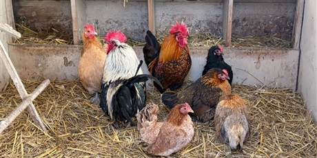 Powiększ grafikę: polkolonie-zimowe-w-naszej-szkole-672536.jpg