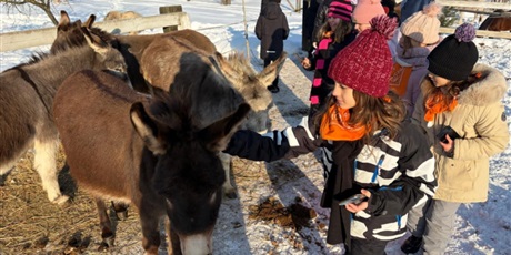 Powiększ grafikę: polkolonie-zimowe-w-naszej-szkole-672538.jpg