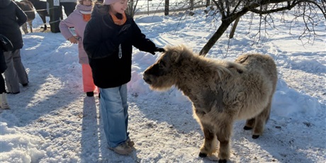 Powiększ grafikę: polkolonie-zimowe-w-naszej-szkole-672540.jpg