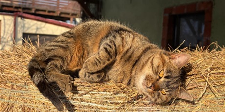 Powiększ grafikę: polkolonie-zimowe-w-naszej-szkole-672543.jpg