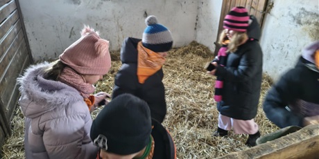 Powiększ grafikę: polkolonie-zimowe-w-naszej-szkole-672545.jpg