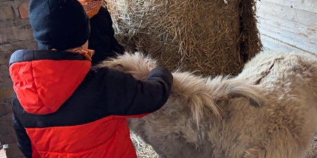 Powiększ grafikę: polkolonie-zimowe-w-naszej-szkole-672547.jpg