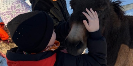 Powiększ grafikę: polkolonie-zimowe-w-naszej-szkole-672548.jpg