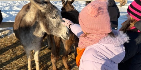 Powiększ grafikę: polkolonie-zimowe-w-naszej-szkole-672549.jpg