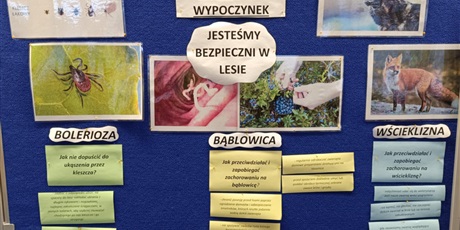 Powiększ grafikę: program-edukacyjny-bezpieczny-wypoczynek-585422.jpg