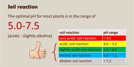 Powiększ grafikę: soil-presentation-477063.jpg